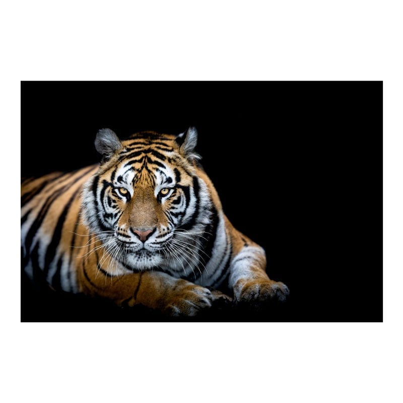 Plain Tiger Bowling Towel