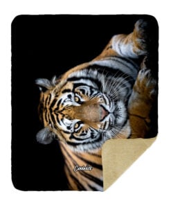 Alternative view of CoolWick Tiger Sherpa Lined Throw Blanket